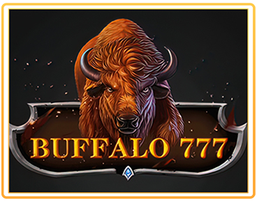 BUFFALO 777 (4)