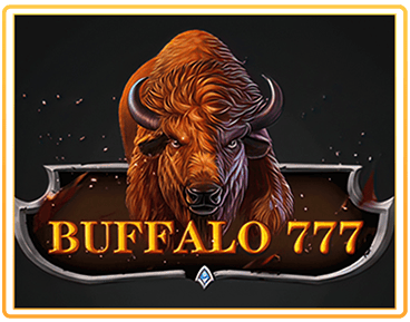 BUFFALO 777 (5)