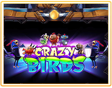 CRAZY BIRDS